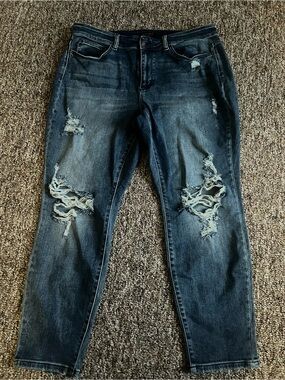 Judy Blue Women’s 18W Denim Distressed Boyfriend Fit Stretch Skinny Ankle Jeans